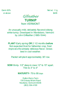 Gilfeather Turnip Seeds from Vermont shipping Incl.