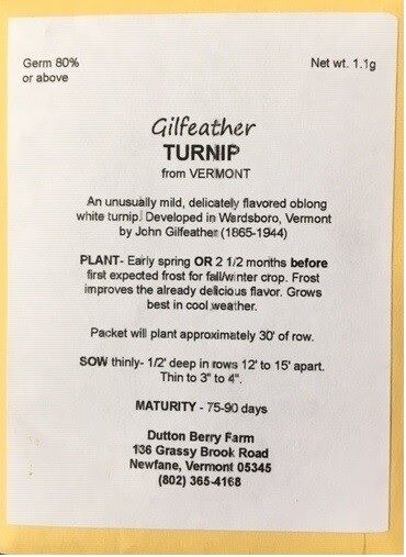 Gilfeather Turnip Seeds from Vermont shipping Incl.
