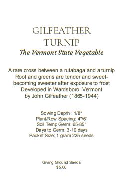 Gilfeather Turnip Seeds