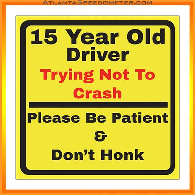 15 Year Old Driver Sign