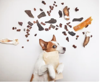 Het (vr)eetpakket - lekker (healthy) snacken