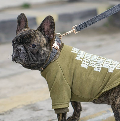 Blauwe halsband en riem (maat S)