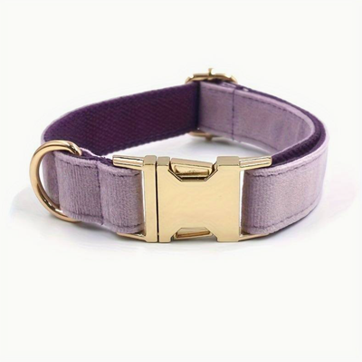 Halsband fluweel paars