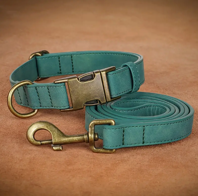 Groene zachte halsband en riem (maat XS)