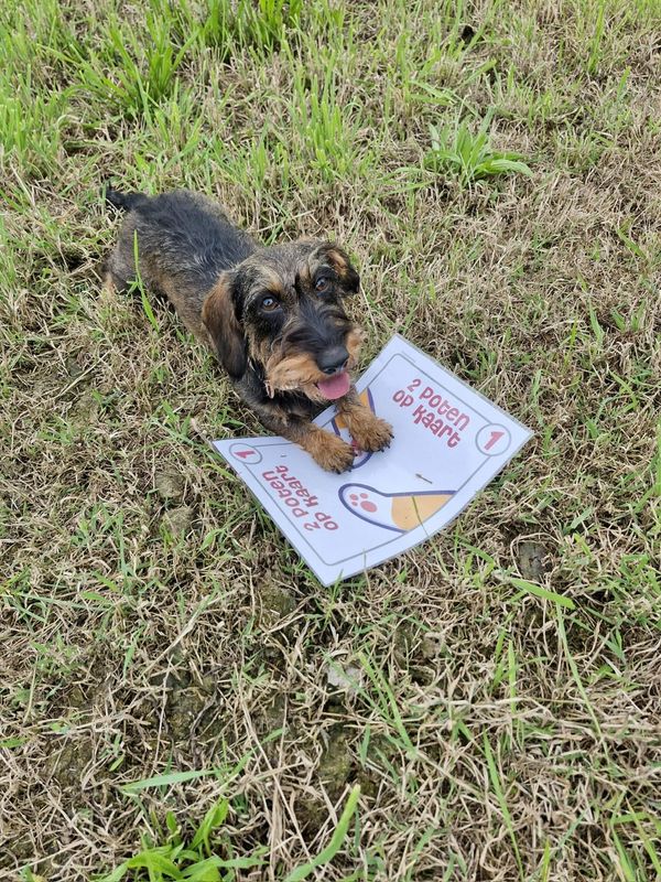 Workshop "sport &amp; spel" zondag 15 maart