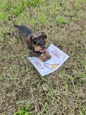 Workshop "sport &amp; spel" zondag 15 maart