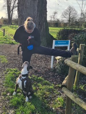 Workshop "bootcamp" zaterdag 14 maart