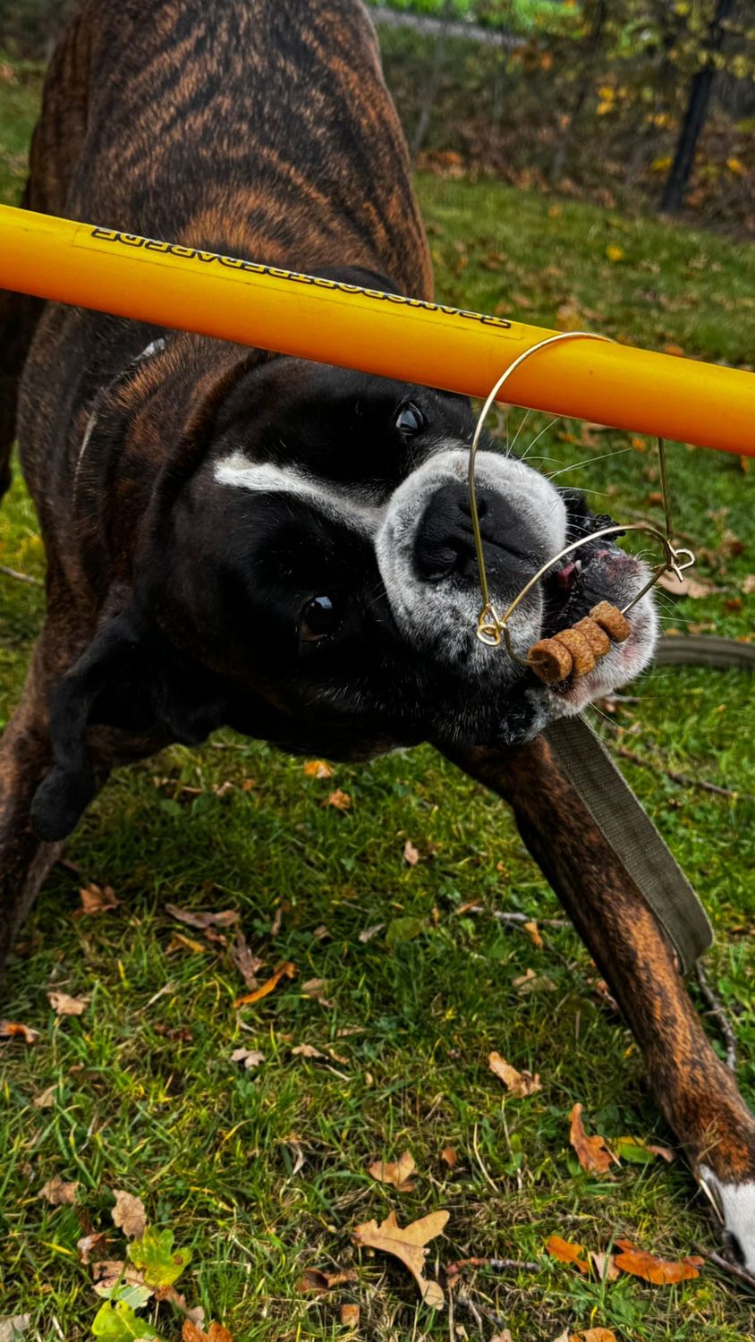 Workshop "parcourtjes" zaterdag 14 maart