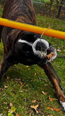 Workshop "parcourtjes" zaterdag 14 maart