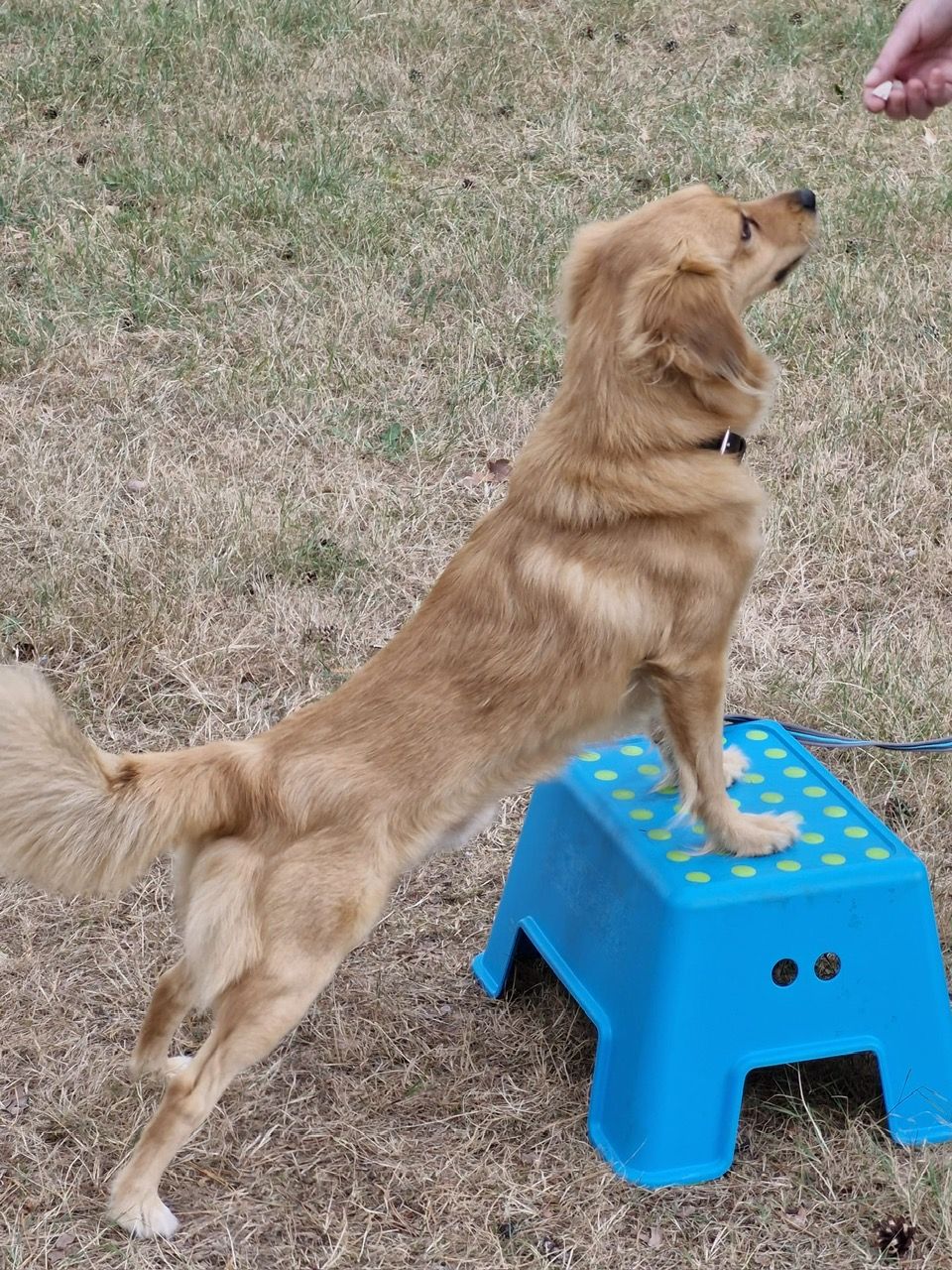 Workshop "balans &amp; coördinatie" zondag 15 maart