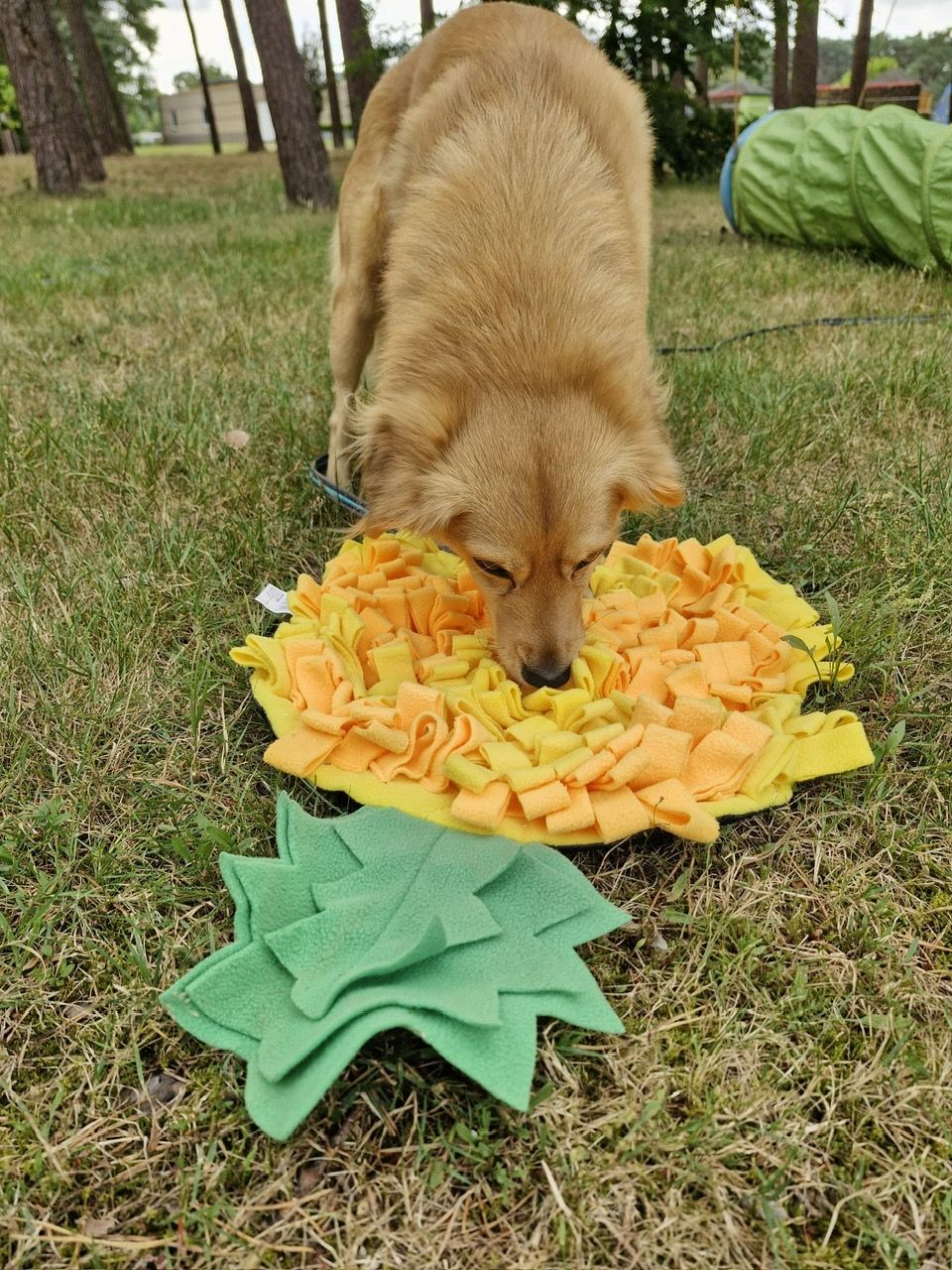 Workshop "werken met de neus" zaterdag 14 maart