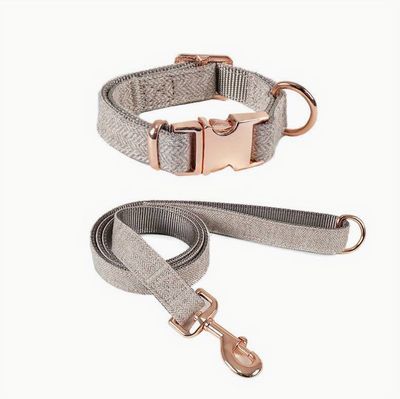 Grijze halsband en riem (maat XS)