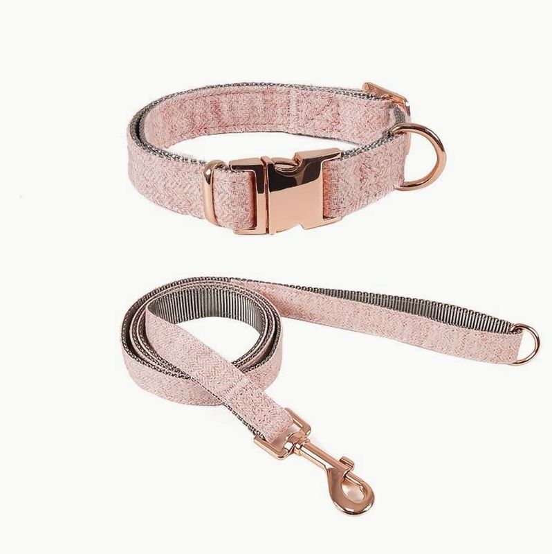 Roze halsband en riem (maat S)