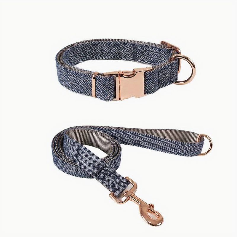 Blauwe halsband en riem (maat XS)