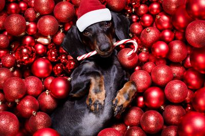 Kerst producten