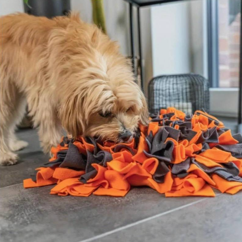 Snuffelmat vierkant medium oranje