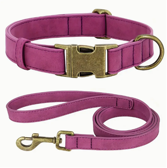Paarse zachte halsband en riem (maat XS)