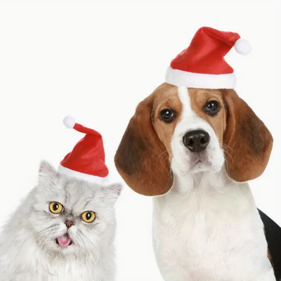 Kerstmuts voor kleine honden