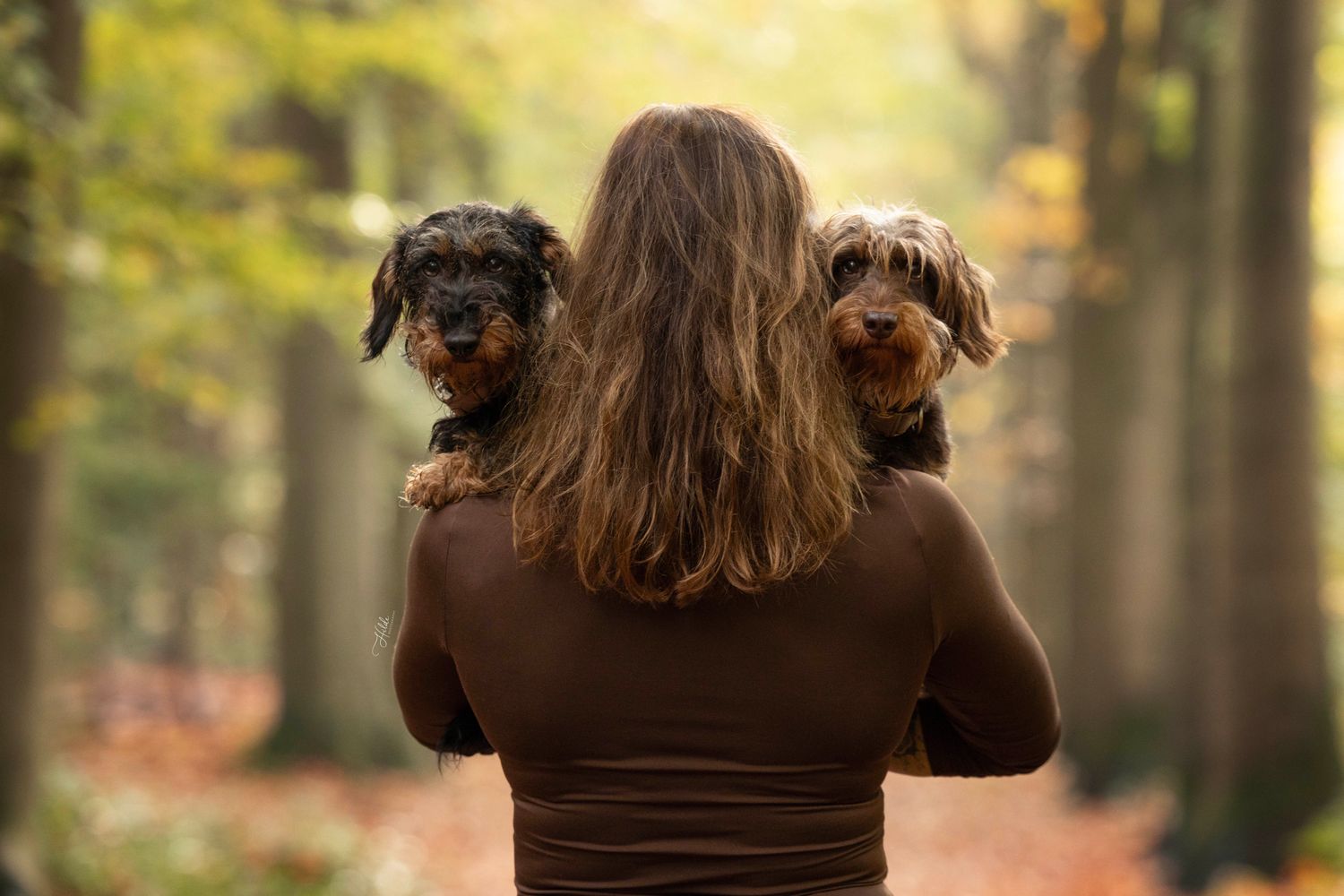 Workshop "dog dance" zaterdag 14 maart