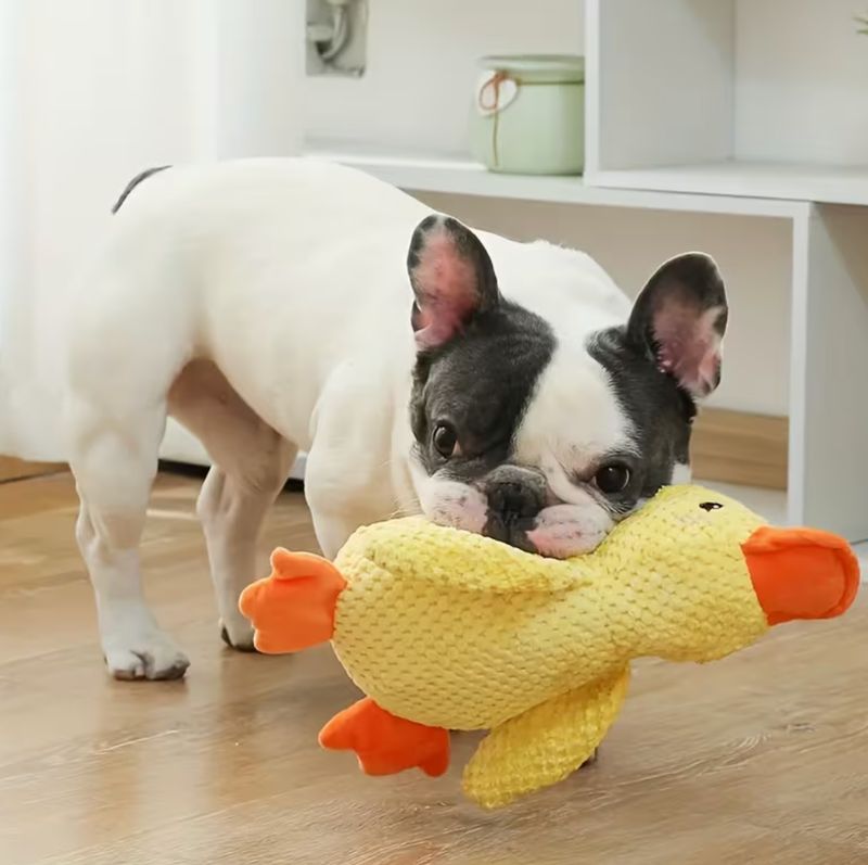 Piepend eendje - geel