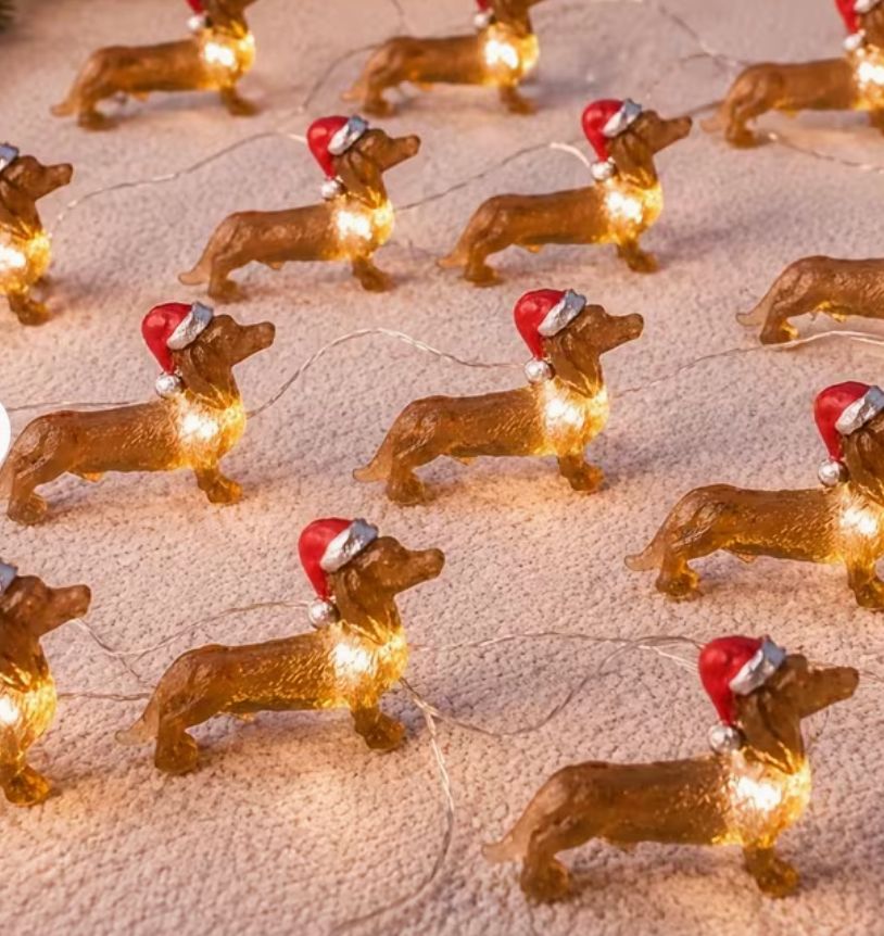 Teckel kerstverlichting