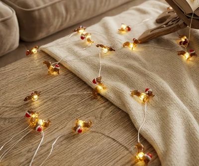 Teckel kerstverlichting
