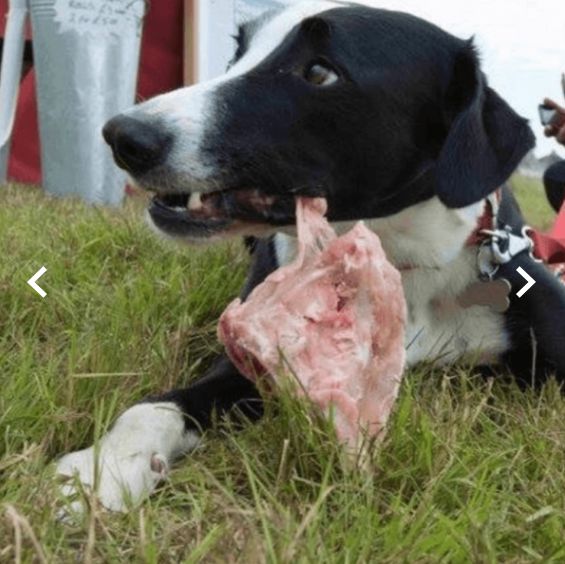 Nurturing By Nature NBN Chicken Carcass X 1