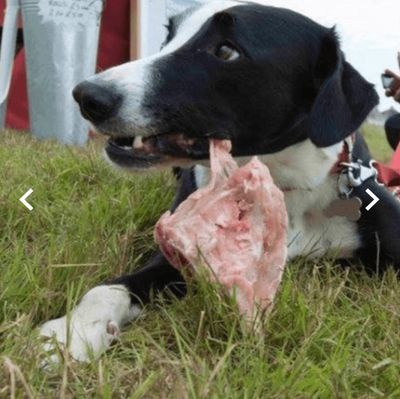 Nurturing By Nature NBN Chicken Carcass X 1