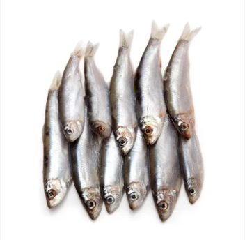 Fish
