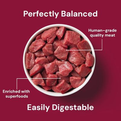 Nutriment Cat Beef Dinner 175g