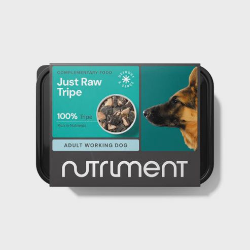 Nutriment Raw Just Tripe 500g