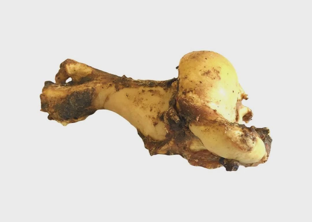 Roasted Bone - Jurassic XL