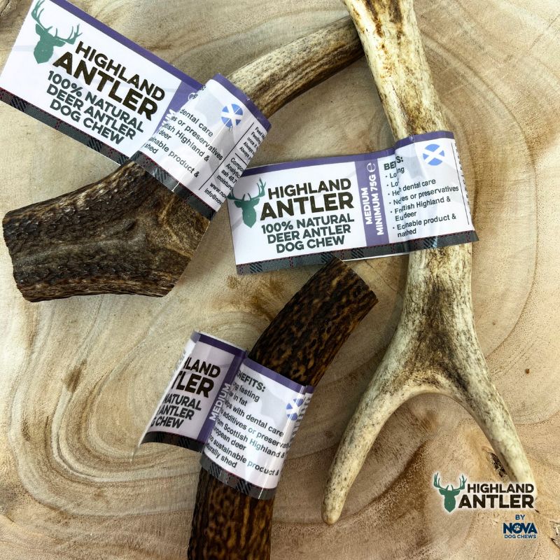 Antos Antler Medium 75-150g