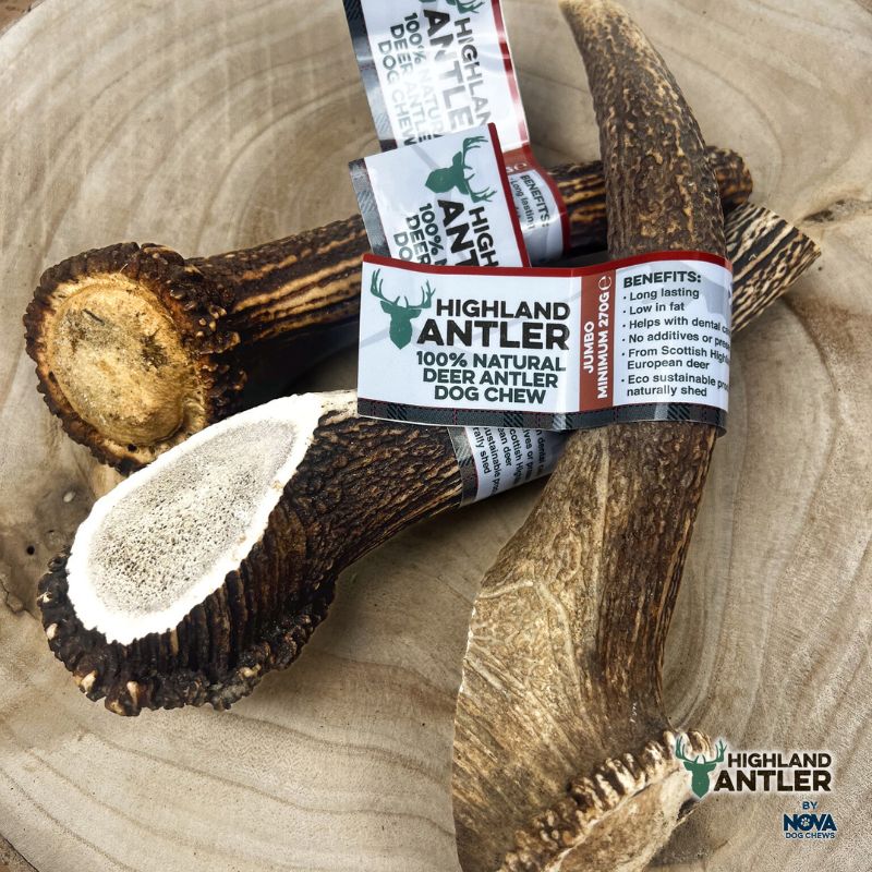 Antos Antler Jumbo 270g+