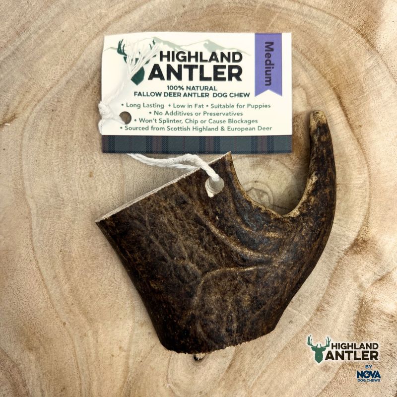 Antos Fallow Antler Medium