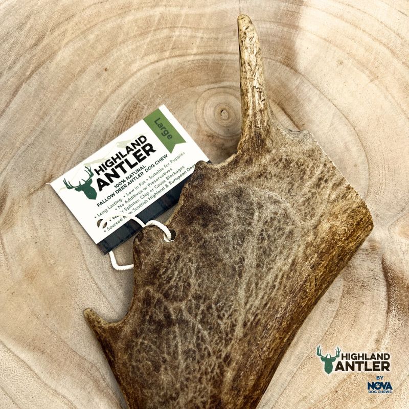 Antos Fallow Antler large