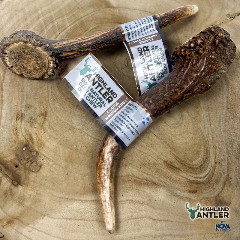 Antos Antler X-Large 220g