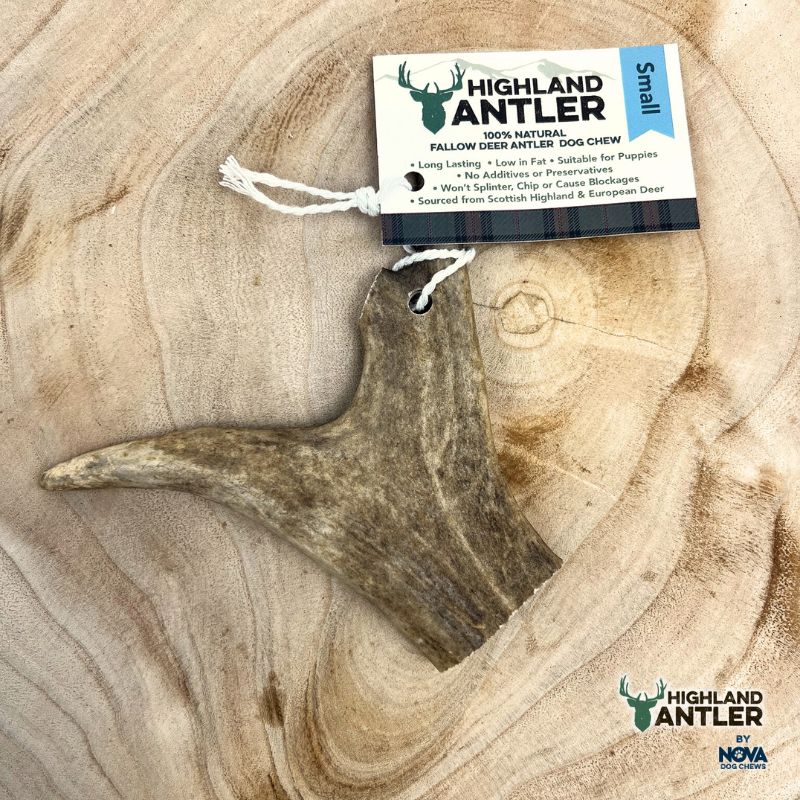 Antos Fallow  Antler Small