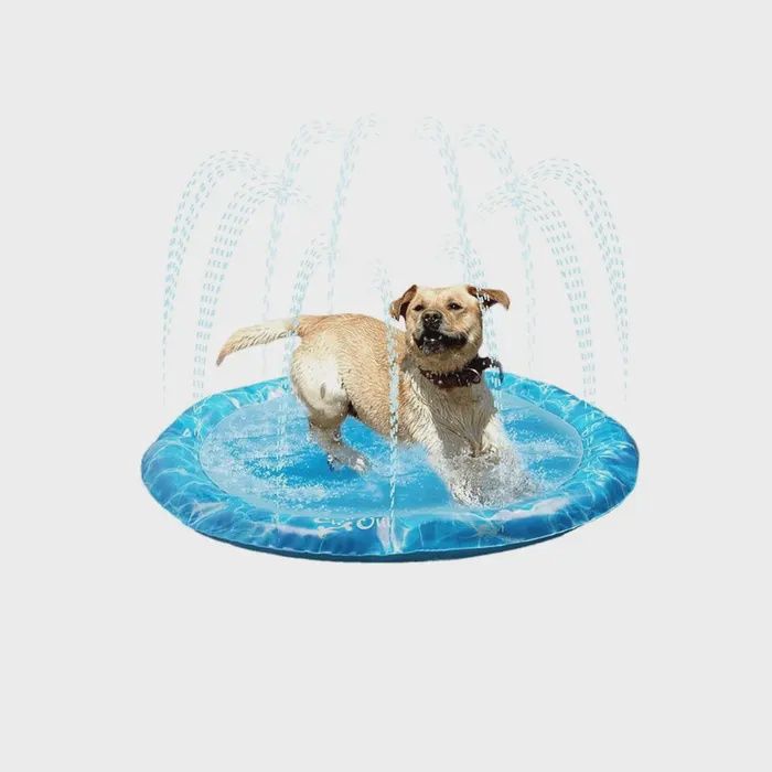 All For Paws Chill Out Sprinkler Fun Mat Large