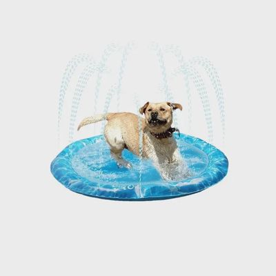 All For Paws Chill Out Sprinkler Fun Mat Large