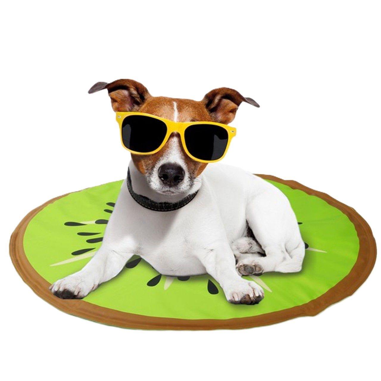 All For Paws Chill Out Kiwi Cooling Mat