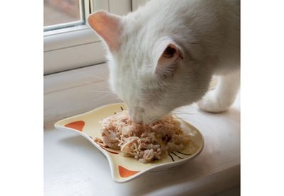 Ancol Ceramic Cat Shaped Dish