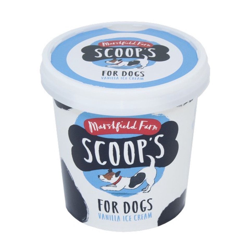 Scoops Vanilla Ice Cream 125ml