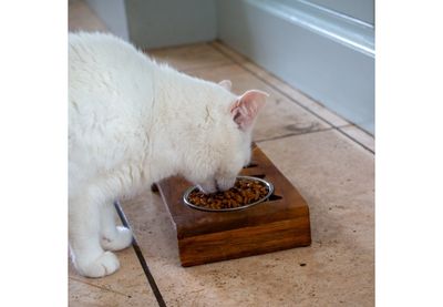 Ancol Hungry Paws Raised Cat Feeding Bowl