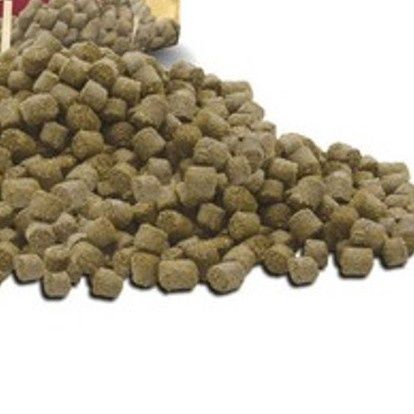 W/O Russel Rabbit - Tasty Nuggets