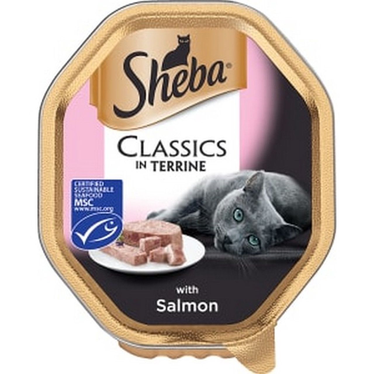 Sheba Classics Salmon in Terrine Tray 85g