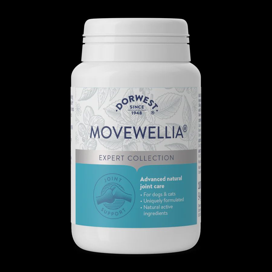 Dorwest MoveWellia 100 Tablets