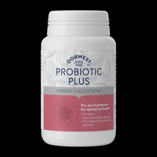 Dorwest Probiotic Plus 200 Capsules