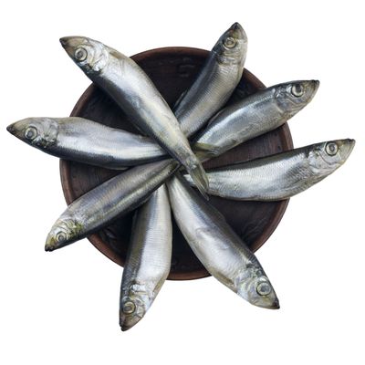 Fish