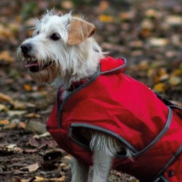 Coats &amp; Clothing